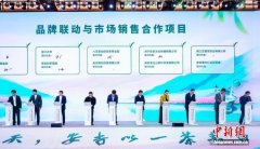 第七届茶旅大会在浙江安吉开幕  茶旅融合助振兴